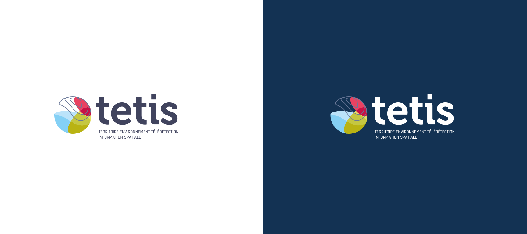 Charte graphique et processus de création de l'identité visuelle et du logo de Tetis