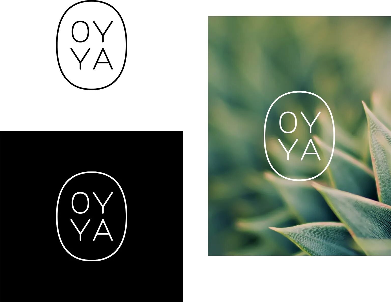 Planche d’identité visuelle Oyya avec logo minimaliste décliné en noir, blanc et sur fond végétal naturel.