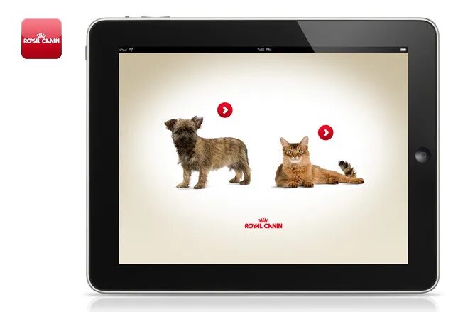 Application Royal Canin sur tablette avec anatomie du chien et du chat.