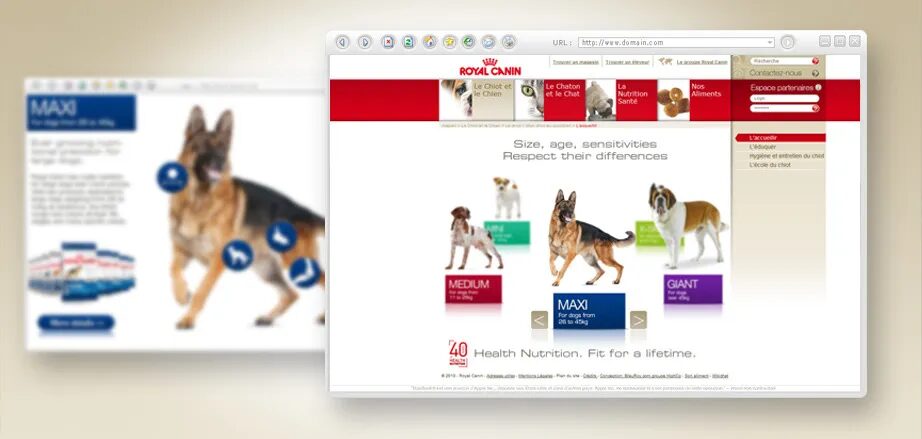 site internet royal canin