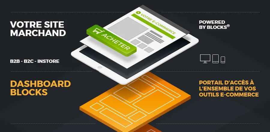 Création infographie solution e-commerce Netik dashboard blocks B2B B2C par cubedesigners