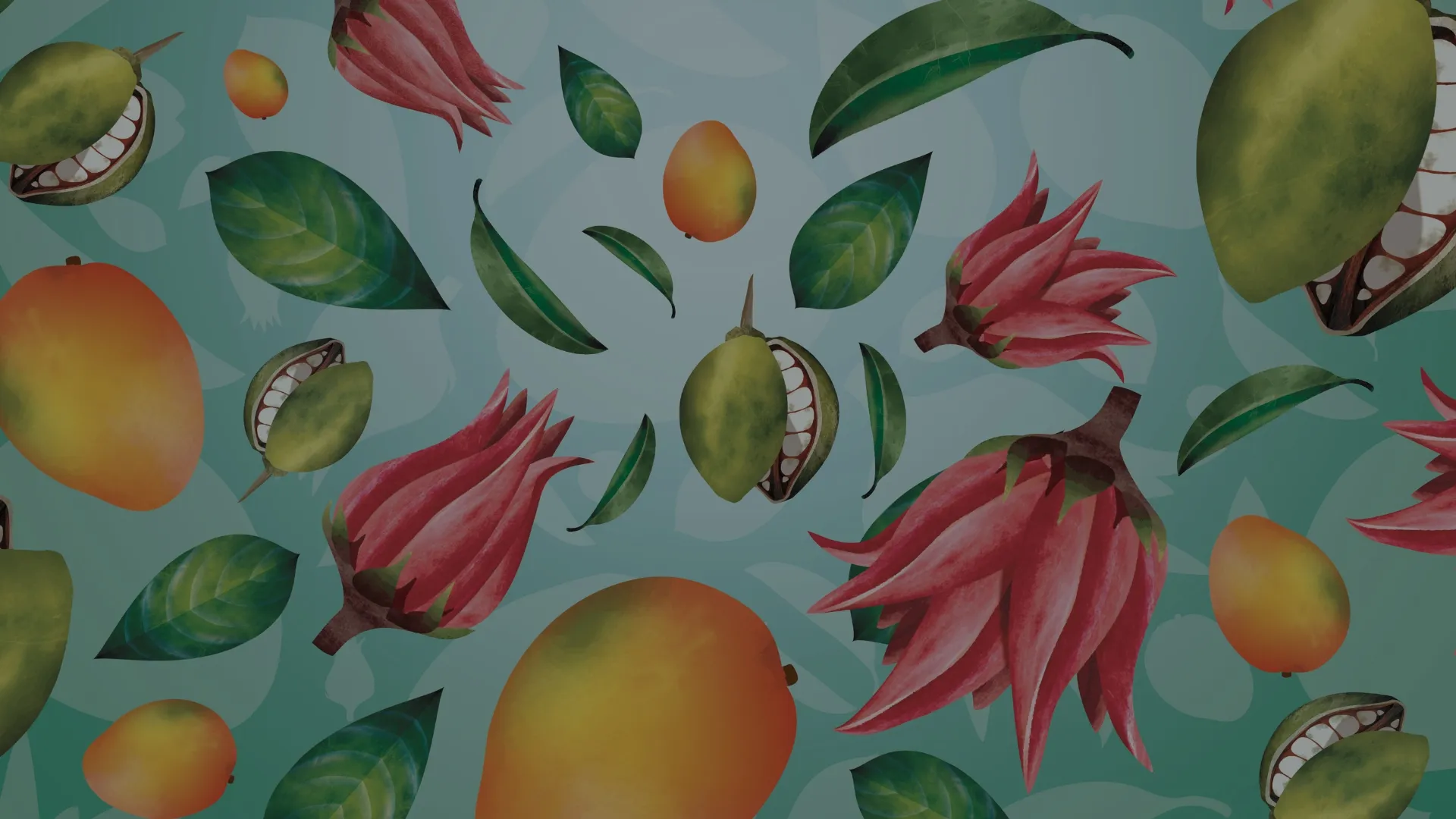 Illustration colorée de fruits tropicaux et feuilles sur fond vert, avec le logo Matathi et le texte “Boissons bio au fruit du Baobab