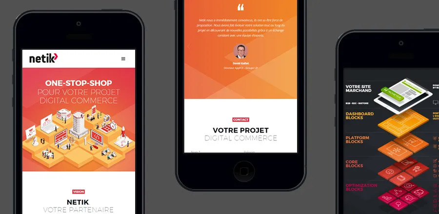 Création site mobile responsive Netik digital commerce par cubedesigners
