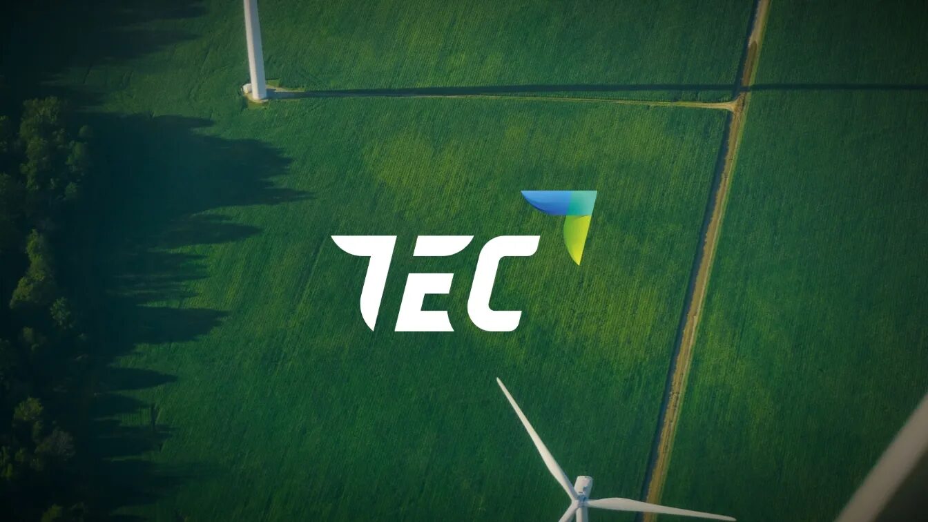 Logo et site web TEC International Export pour société d’import-export énergie